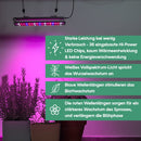 GrowLight Quattro - Parus by Venso LED Pflanzenlampe 60W, Anzuchtlampe LED Pflanzenlampe Vollspektrum, Überwinterung Venso Ecosolutions Pflanzen Licht, Pflanzenlampe Anzucht, Pflanzenlicht LED