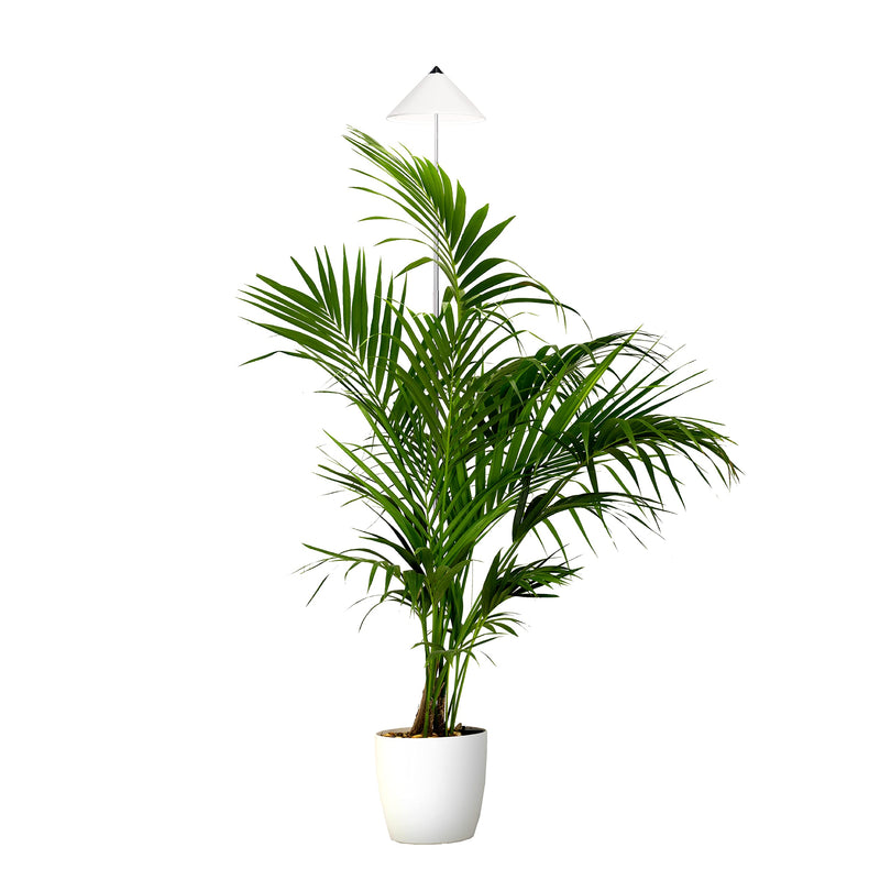 Parus by Venso SUNLiTE XL LED Vollspektrum Pflanzenlampe Weiß 25W Indoor Plants Pflanzen Beleuchtung, mit ausziehbarem Teleskopstab, Parus Pflanzenlampe für große und kleine Zimmerpflanzen