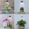 Parus by Venso SUNLiTE 7W LED Vollspektrum Pflanzenlampe Grau, Indoor Plants Pflanzen Beleuchtung, mit ausziehbarem Teleskopstab, Parus Pflanzenlampe für kleine und mittelgroße Zimmerpflanzen