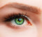ELFENWALD farbige Kontaktlinsen, Produktreihe „SUPREME" (grün)