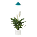 Parus by Venso SUNLiTE LED Pflanzenlampe klein 7W Petrol, Wachstumslampe mit Teleskopstab, Grow Light für Zimmerpflanzen und Grünpflanzen