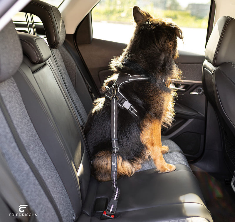 2x Hunde-Gurt Auto Sicherheitsgurt elastisch Anschnallgurt Hundegeschirr