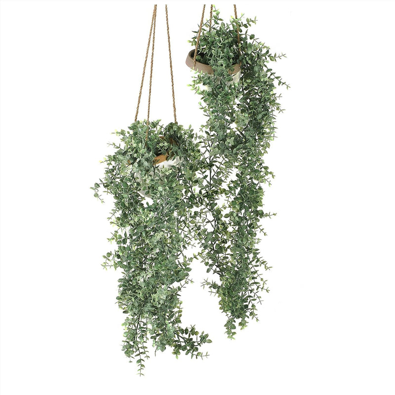 Blumtal Eukalyptus Kunstpflanze 2er Set - Langlebige, Lebensechte Künstliche Pflanzen für Außen und Innen mit Grünen Kabelbindern