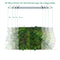 Venso EcoSolutions Pflanzenlicht Spotleiste Lichtleiste Wall 60cm, 30W, 120° (8018503510)