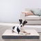 Juskys Hundebett Milow orthopädisch 76x51cm - Hundekissen flauschig & stabil - Bezug abnehmbar & waschbar — Hundematte für kleine Hunde - Beige