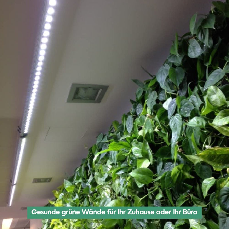 Venso EcoSolutions Pflanzenlicht Spotleiste Lichtleiste Wall 150cm, 75W, 120° (8018503540)