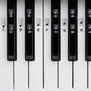 BELFORT® Klavier + Keyboard Noten-Aufkleber für 49 | 61 | 76 | 88 Tasten + Ebook | Piano Sticker Komplettsatz für schwarze + weisse Tasten | C-D-E-F-G-A-H | Einfache deutsche Anleitung