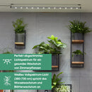 Parus by Venso Wall Spot 120cm, Abstrahlwinkel 60°, LED Wachstumslampe, Grow Light für Zimmerpflanzen und Grünpflanzen, Fassaden- und Wandbegrünung