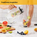 SILBERTHAL Glaskaraffe mit Fruchteinsatz 2 Liter - Wasserkaraffe mit Deckel - Spülmaschinenfest
